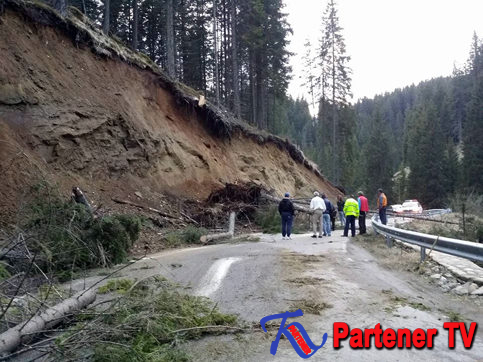 VIDEO. Brad doborât de vânt în zona Padina-Peştera. Traficul a fost blocat până la curăţarea drumului de către salvamontişti