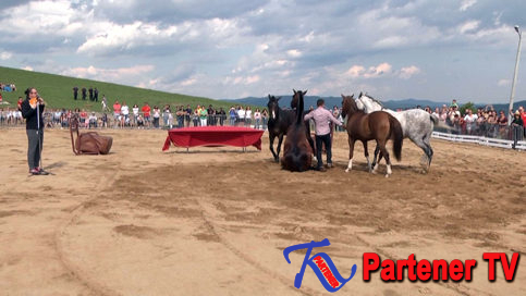 VIDEO. Festivalul Haidook Summer Fest de la Runcu, o  reuşită