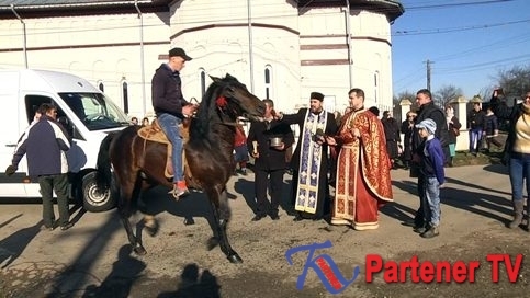VIDEO. Botezul Cailor, tradiție de Bobotează, reînviată la Vișina