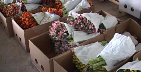 Flori şi mărţişoare, CONFISCATE de poliţişti în Piața Tricolorului și  Piața 1 Mai, ambele din Târgoviște