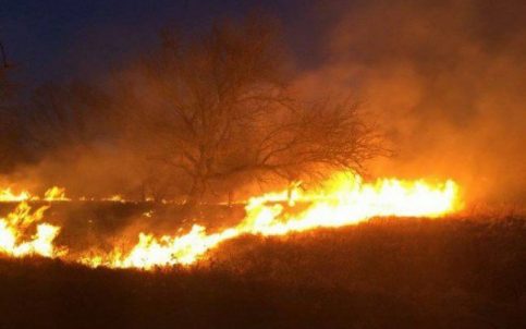 În ultima săptămână, pompierii dâmboviţeni  au intervenit la 121 incendii de vegetaţie