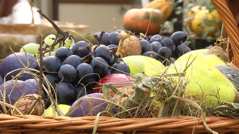 VIDEO. La Dragodana  s-a sărbătorit  cum se cuvine toamna, anotimpul recoltei