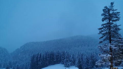 Atenționare nowcasting COD GALBEN în zona montană dâmbovițeană