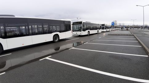 11 autobuze hybrid Mercedes Citaro au ajuns în municipiul Târgoviște. VIDEO