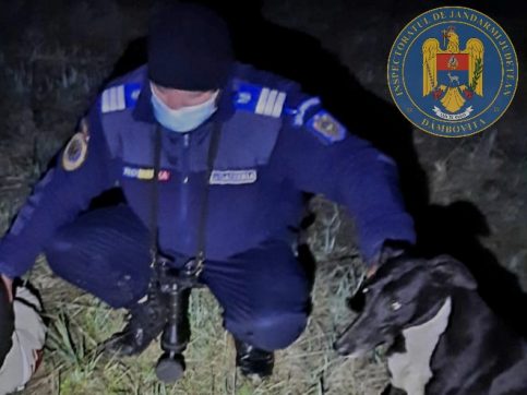 Braconier prins de jandarmii dâmbovițeni