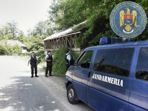 AVERTISMENT! Urșii dau târcoale  în  comuna Gura Ocniței, jandarmii recomandă prudenţă maximă