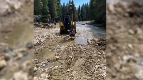 Drumarii de la LDP au intervenit rapid în zona montană afectată de viitură. VIDEO
