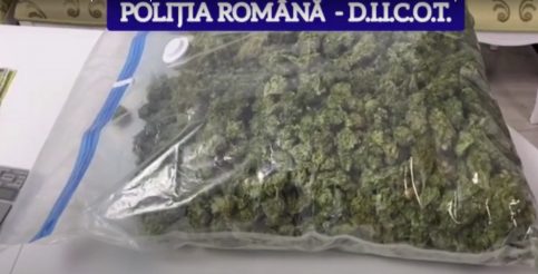 FLAGRANT DELICT ȘI PERCHEZIȚII.VIDEO