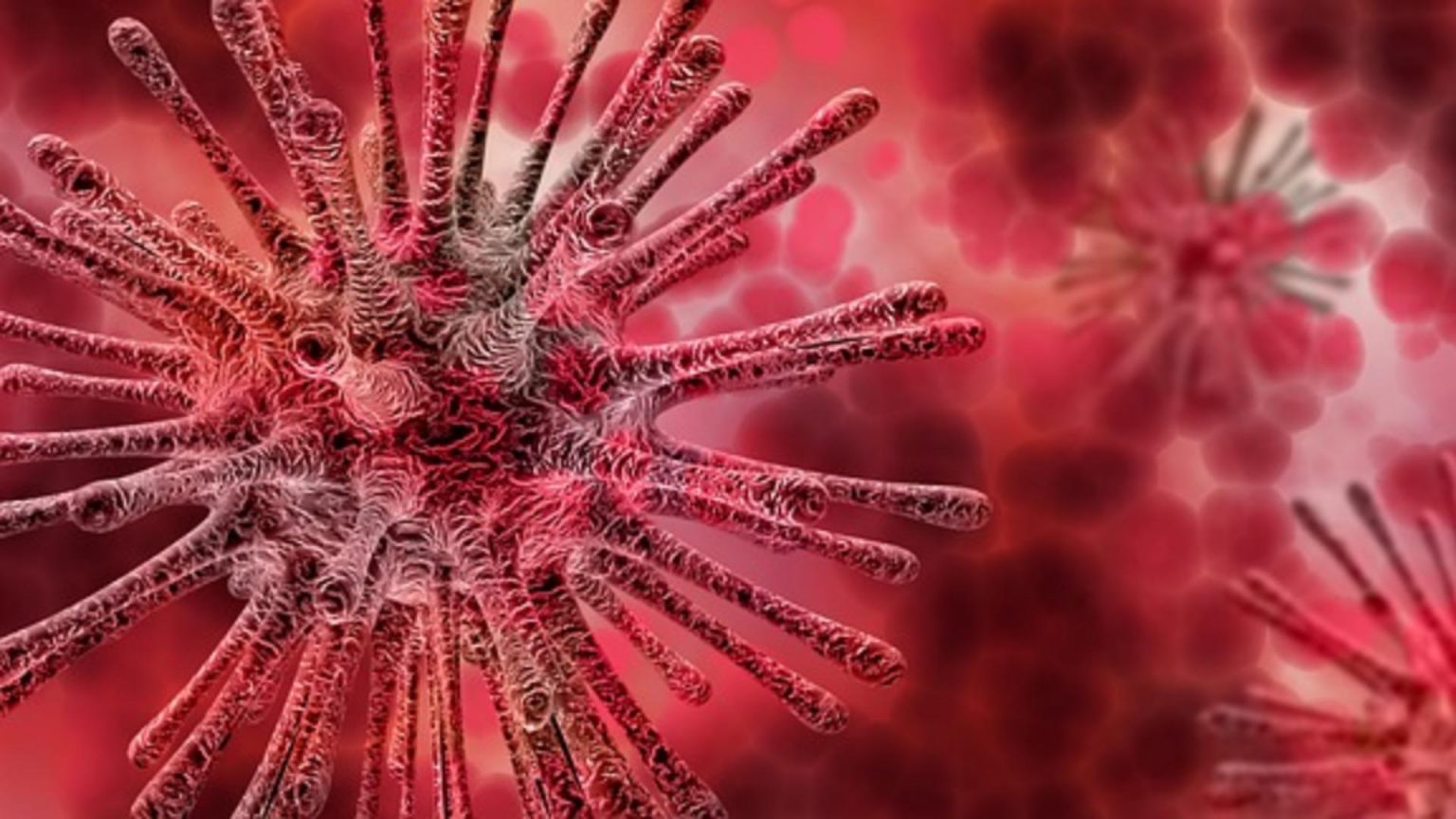 În ultimele 24 de ore, creștere alarmată a infectărilor în Dâmbovița