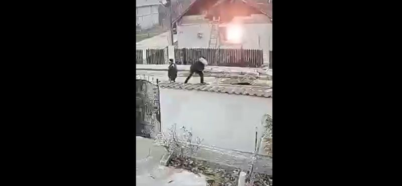 Au snopit în bătaie un câine, deja Poliția din Dâmbovița a deschis o anchetă