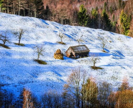Imaginile dimineții de 12 decembrie, adunate de la iubitorii muntelui