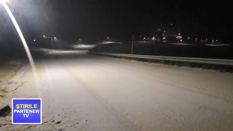 Ninge în zona montană Padina-Peștera.VIDEO