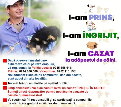 APELUL PUBLIC al PRIMĂRIEI RĂCARI: Nu mai hrăniți animalele pe spaţiul public!