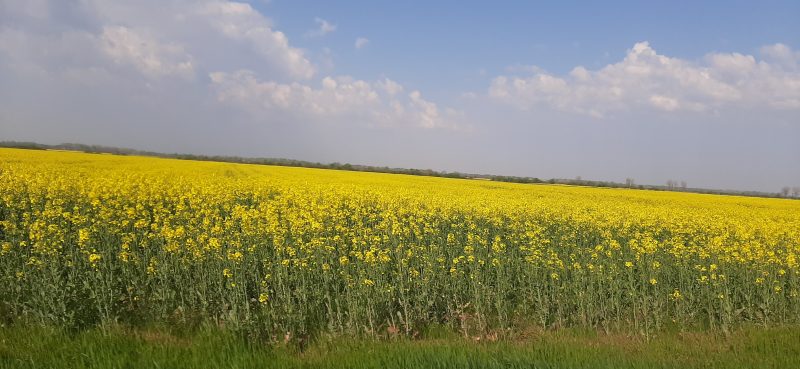 22 aprilie – Ziua Pământului
