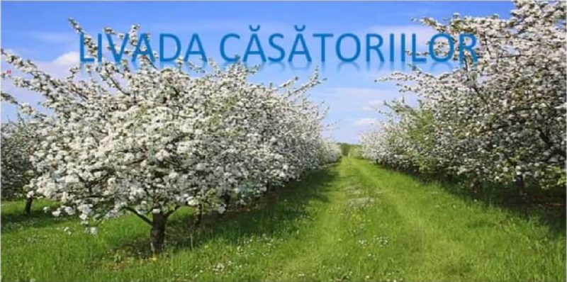 La Moroeni s-a finalizat o nouă investiție, o zonă de recreere“Livada Căsătoriilor”