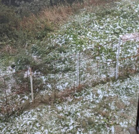 Luni, 9 octombrie 2023, vremea se va răci în toată țara, primii fulgi de nea în Rarău