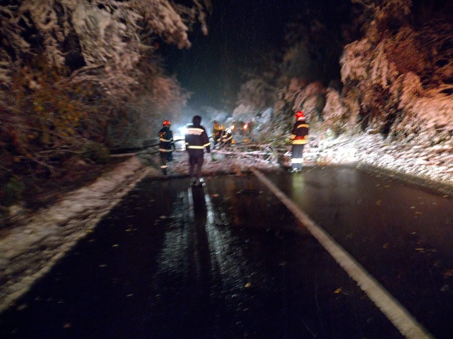 Intervenții pentru îndepărtarea arborilor doborâți sub greutatea zăpezii