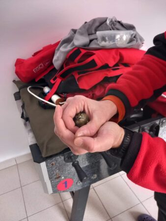 Acțiune de salvare  inedită! Salvatorii montani gorjeni din cadrul Serviciului Salvamont al Consiliului Județean Gorj