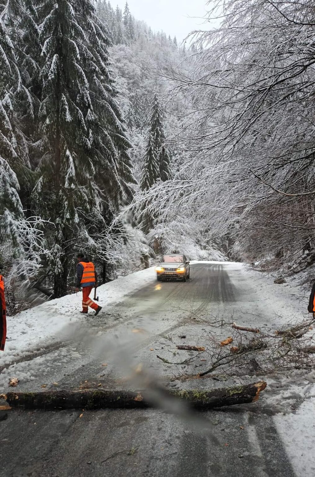 Iarna își făcea simțită prezența în forță, arbori căzuți pe șosea din cauza zăpezii Iarna își făcea simțita prezența în forță, arbori căzuți pe șosea din cauza zăpezii, drumarii intervin pe DN 7A limita