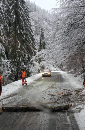 Iarna își făcea simțită prezența în forță, arbori căzuți pe șosea din cauza zăpezii Iarna își făcea simțita prezența în forță, arbori căzuți pe șosea din cauza zăpezii, drumarii intervin pe DN 7A limita