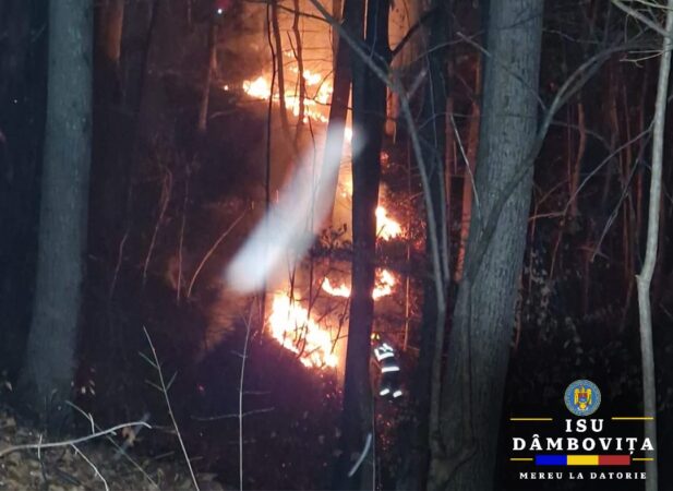 A ars  litiera pe o suprafață de aproximativ 1 ha, în satul Râu Alb de Jos.Au intervenit  cu o autospecială de stingere cu
