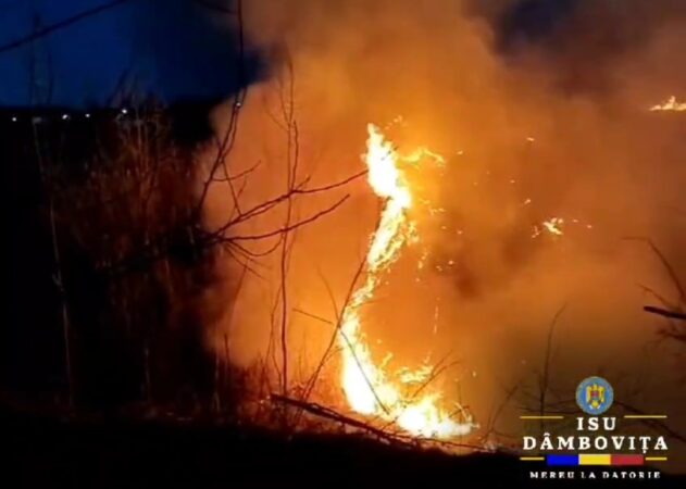Incendiu de vegetație uscată în Comuna Gura Foii, sat Catanele Incendiu de vegetație uscată în Comuna Gura Foii, sat Catanele, a intetvenit Detașamentul de Pompieri Găești