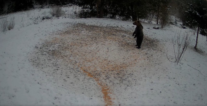 Să începm dimineața cu imagini inedite din mijlocul naturii.VIDEO