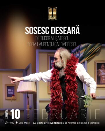 "Sosesc deseară!" - cu o astfel de promisiune oare se va face primăvară în viața Anișoarei, o domnișoară pudică, visând la măritiș? 