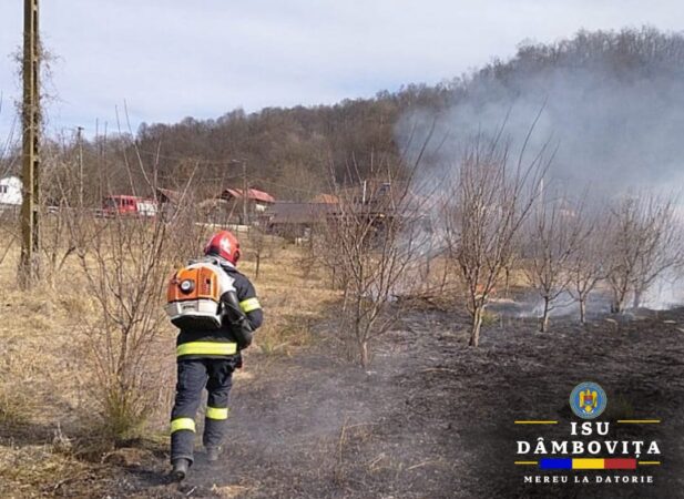 STOP incendiilor de vegetație! 9 INCENDII DE VEGETAȚIE USCATĂ AU AVUT LOC IERI, în județul  Dâmbovița, a fost identificată o persoană cu arsuri.VIDEO