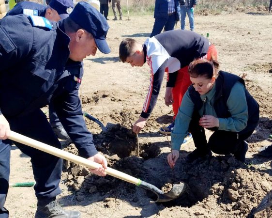 Jandarmii dâmbovițeni s-au alăturat și anul acesta campaniei ,,Luna Plantării Arborilor”