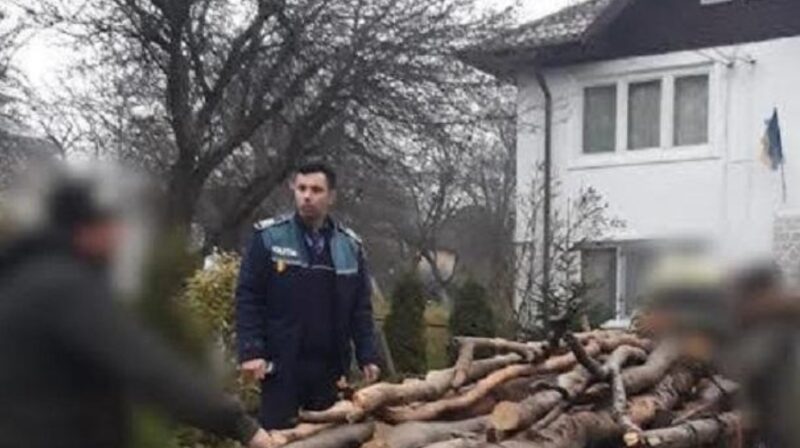 Furturile de material lemnos sunt în vizorul polițiștilor dâmbovițeni Furturile de material lemnos sunt în vizorul polițiștilor dâmbovițeni, pe parcursul zilei de ieri, 11 martie, polițiștii din cadrul Secției