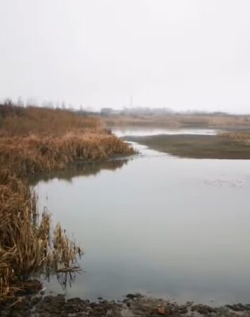 Realizarea unei grădini publice și amenajarea lacului Priseaca.VIDEO