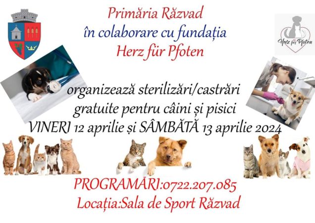 IMPORTANT: Primăria Răzvad în colaborare cu fundația  Herz für Pfoten organizează Primăria Răzvad în colaborare cu fundația  Herz für Pfoten organizează vineri -12 aprilie și sâmbătă -13 aprilie, sterilizări gratuite pentru câini şi pisici!