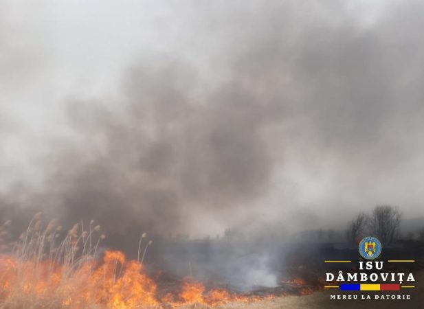 STOP incendiilor de vegetație! Sosirea primăverii şi încălzirea vremii a făcut ca unii cetăţeni să înceapă activitatea de igienizare a terenurilor