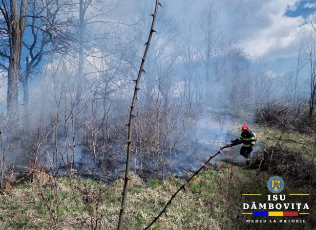 Incendiu de vegetație uscată în comuna Râu Alb, satul Râu Alb de Sus.Garda de Intervenție Voinesti a intervenit cu o autospecială de stingere cu apă și spumă.