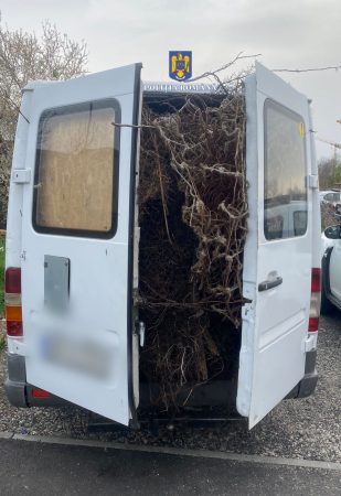 Transport ilegal de fier vechi, șoferul nu avea nici permis Transport ilegal de fier vechi, polițiștii din cadrul Poliției Municipiului Târgoviște – Biroul Ordine Publică au depistat un tânăr de 23 de ani