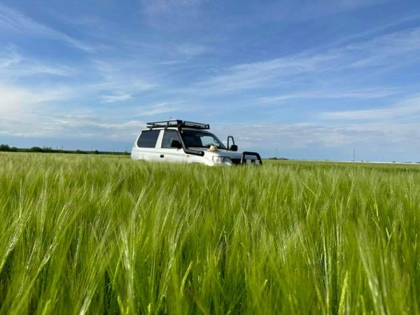 APIA eliberează adeverințe pentru beneficiarii măsurilor și intervențiilor gestionate în cadrul Campaniei 2024.