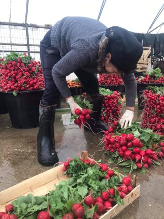 Alți bani, altă distrație de la 1 iulie: Taxă pentru micii producători agricoli, cei care își fac pe cont propriu transportul produselor ANAF propune impozit suplimentar pentru transportul recoltelor proprii de către agricultorii care operează cu atestate și carnete de producător.