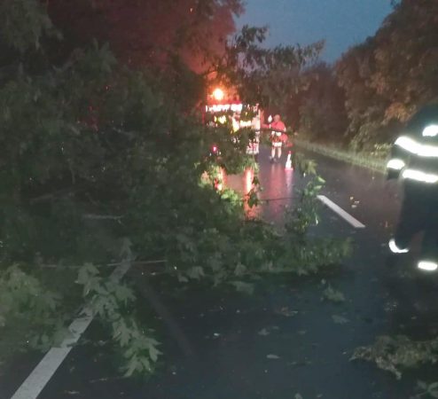 Copaci doborâți de vânt la Băleni și Corbii Mari și o gospodărie inundată la Lungulețu Copaci doborâți de vânt la Băleni și Corbii Mari și o gospodărie inundată la Lungulețu