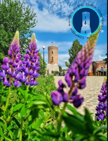 Muzeele Complexului Național Muzeal „Curtea Domnească” vor fi deschise în perioada Rusaliilor Sărbătoarea Pogorârii Duhului Sfânt asupra ucenicilor Domnului, numită, în popor, Rusalii, reprezintă un prilej deosebit pentru dâmboviţenii