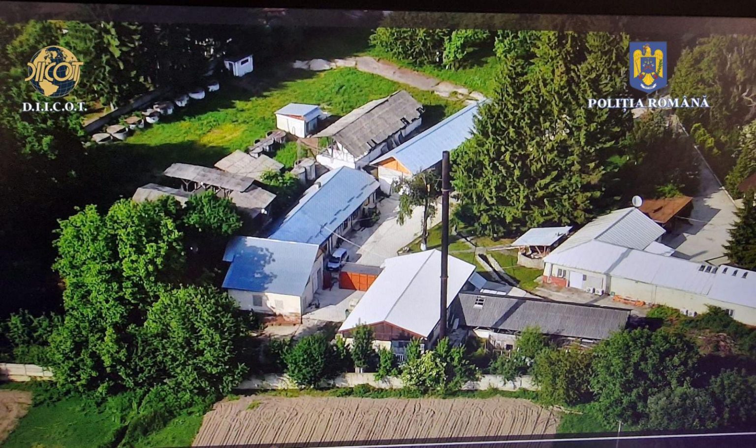 DESTRUCTURAREA rețelei de trafic de droguri „IARBĂ DULCE” din Dâmbovița. VIDEO DESTRUCTURAREA rețelei de trafic de droguri "IARBĂ DULCE" din Dâmbovița, polițiștii Serviciului de Combatere a Criminalității
