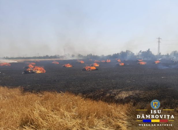 Incendiu de baloți de paie și vegetație uscată în orașul Răcari Incendiu de baloți de paie și vegetație uscată în orașul Răcari, Garda de Intervenție Răcari a fost solicitată să intervină. La fața locului