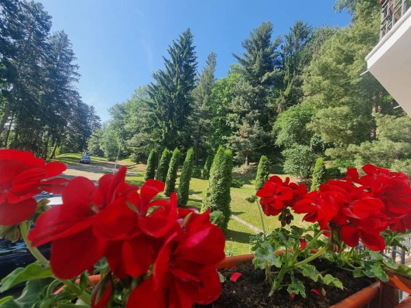 Prognoza meteo pentru data de 15 iunie 2024, căldură mare și furtuni Prognoza meteo pentru data de 15 iunie 2024, se anunță căldură mare și furtuni în România. Cerul va fi înnorat în jumătatea de est a țării și variabil în rest.