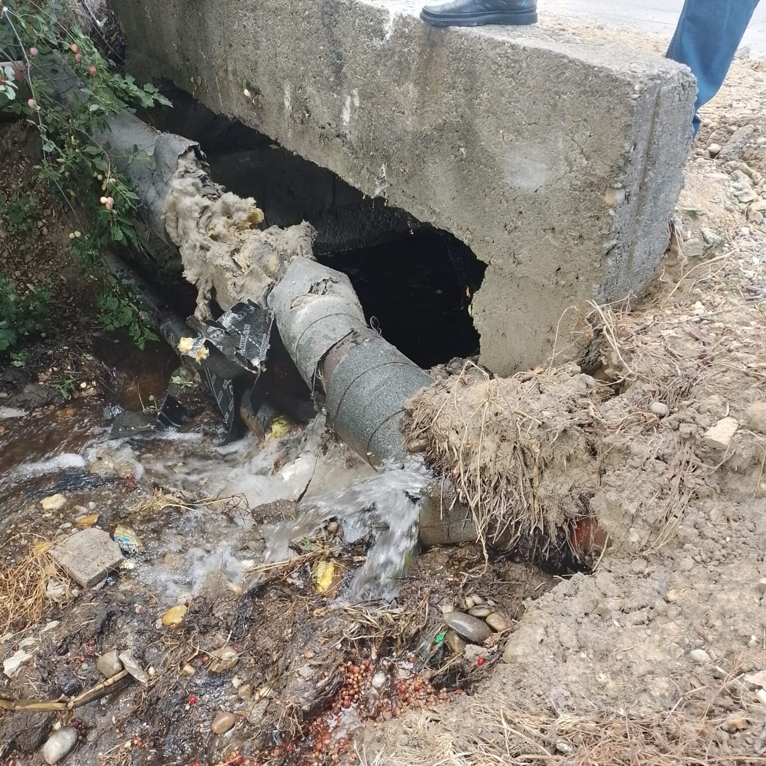 În atenția clienților CATD din orașul Găești Compania de Apă Târgoviște-Dâmbovița (CATD) dorește să informeze publicul cu privire la situația actuală a furnizării apei potabile în orașul Găești. Suntem conștienți că, în prezent, volumul de apă potabilă furnizată de Compania de Apă Târgoviște-Dâmbovița nu acoperă cererea. În ultimele săptămâni, am constatat o creștere a consumului, acesta fiind mai mult decât dublul valorilor normale sau al celor înregistrate în aceeași perioadă a anului trecut. Această situație este consecința secetei pronunțate, care face ca apa furnizată pentru consum casnic să fie utilizată și în alte scopuri (udat gazon, agricultură, industrie etc.). Sursele de apă ale cetățenilor se diminuează sau au secat, ceea ce accentuează necesitatea disponibilității apei. Vă aducem la cunoștință că în data de 28.06.2024 a existat o avarie majoră la conducta de aducțiune apă potabilă în zona în care se efectuau lucrări de construcții în cadrul unui proiect al Primăriei Găești. Această avarie a afectat programul de continuitate a furnizării apei potabile. Avaria a fost remediată cu celeritate, toate pompele din fronturile de captare funcționează și suntem în procedură de aducere a rețelelor la parametrii de funcționare normali. Sâmbătă, 29.06.2024, pe fondul consumului excesiv de apă potabilă, în special din zona de case, chiar și în condițiile de furnizare la capacitate maximă, CATD nu a putut furniza întreaga cantitate de apă solicitată de consumatori, fapt ce a condus la imposibilitatea alimentării cu apă a etajelor superioare din zona blocurilor, presiunea fiind redusă față de normal. CATD operează și întreține infrastructura preluată de la UAT Găești, infrastructură pe care CATD a completat-o cu încă 5 foraje efectuate din fonduri europene. Cu toate acestea, la momentul de față, volumul de apă livrat este insuficient în condițiile actuale de secetă accentuată și consum excesiv. Menționăm că apa extrasă din sursele frontului de captare Găești – Parc necesită tratare specială pentru furnizare în condiții de calitate. Stația de tratare actuală necesită suplimentarea capacității de filtrare, lucru pe care compania îl are în programul de investiții și așteaptă o aprobare de autorizație de construire de la Primăria Găești, aceasta fiind blocată de câteva luni. În ceea ce privește preluarea în operare a rețelei de apă potabilă de pe strada Republicii, cartier Arsuri, vă informăm că CATD dorește furnizarea de servicii în acea zonă și s-a implicat în proiectarea și execuția automatizării. La acest moment există unele probleme de execuție care fac imposibilă funcționarea în condiții normale a rețelei, în special pe timp de iarnă, aceasta fiind realizată la o adâncime mică, cu mult peste limita de îngheț. CATD nu poate prelua o infrastructură care prezintă deficiențe și nu este în standardele specifice de operare. În ceea ce privește momentul de față, având în vedere faptul că solicitarea de consum este mai mare decât capacitatea fizică maximă de extracție și tratare, vom continua în orașul Găești cu programul de livrare a apei cu presiune redusă, stabilit începând cu data de 28.06.2024, în intervalele orare 10:00 - 18:00 și 23:00 - 05:00, pentru refacerea rezervei de apă în bazinele de înmagazinare. Surplusul acumulat din bazinele de înmagazinare în perioadele de presiune redusă îl vom livra în timpul zilei, împreună cu volumele extrase instant, astfel crescând calitatea serviciilor. Având în vedere că ne confruntăm cu o reducere constantă a debitelor de apă ale forajelor, cauzată de secetă, fenomen ce nu poate fi prevenit și nici stopat, în aceste perioade orice consum exagerat poate conduce la presiune scăzută sau chiar la lipsa apei pentru o parte din consumatori. Ne cerem scuze pentru disconfortul resimțit de clienții noștri și vă asigurăm că facem toate eforturile ca furnizarea apei potabile să revină în parametrii normali! Rugăm insistent ca până la ajungerea în parametrii normali de presiune, consumurile să fie limitate la strictul necesar de uz casnic, evitând cu desăvârșire udarea spațiilor verzi sau folosirea în agricultură! Apel la utilizare responsabilă 21.06.2024 (https://catd.ro/poze/pdfs/Apel_utilizare_responsabila21062024.pdf) CONDUCEREA COMPANIEI DE APĂ TÂRGOVIȘTE-DÂMBOVIȚA S.A.