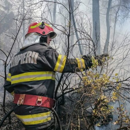 EVITAȚI O TRAGEDIE:STOP INCENDIILOR DE VEGETAȚIE EVITAȚI O TRAGEDIE:STOP INCENDIILOR DE VEGETAȚIE , în acest weekend, pompierii au stins peste 300 de incendii de vegetație, ce au afectat o suprafață de teren de peste 1.000 ha