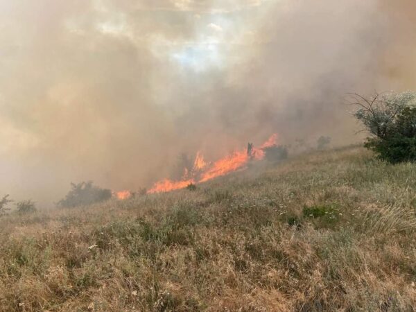 APELUL DISPERAT al POMPIERILOR: NU MAI DAȚI FOC LA VEGETAȚIE în plină CANICULĂ , 140 DE INCENDII DE VEGETAȚIE
