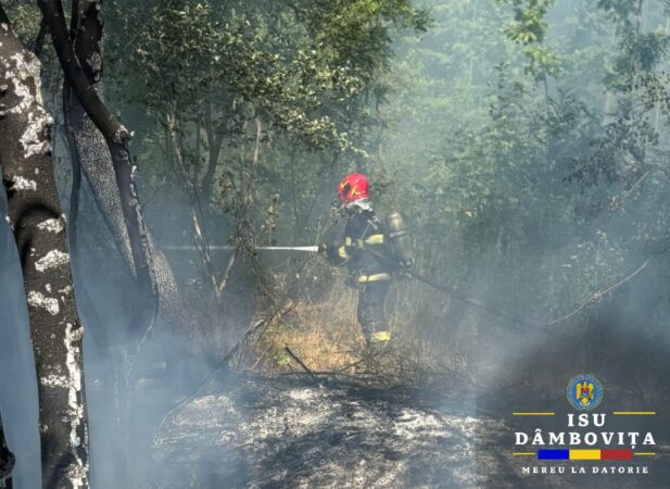Incendiile fac prăpăd în județul Dâmbovița Incendiile fac prăpăd în județul Dâmbovița, în jurul orei 13:49, pompierii au fost solicitați să intervină în cazul unui incendiu de vegetație uscată în localitatea Crângurile.