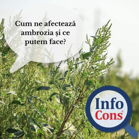 Ambrozia este un real pericol în această perioadă pentru persoanele cu astm și alte probleme, una dintre caracteristicile