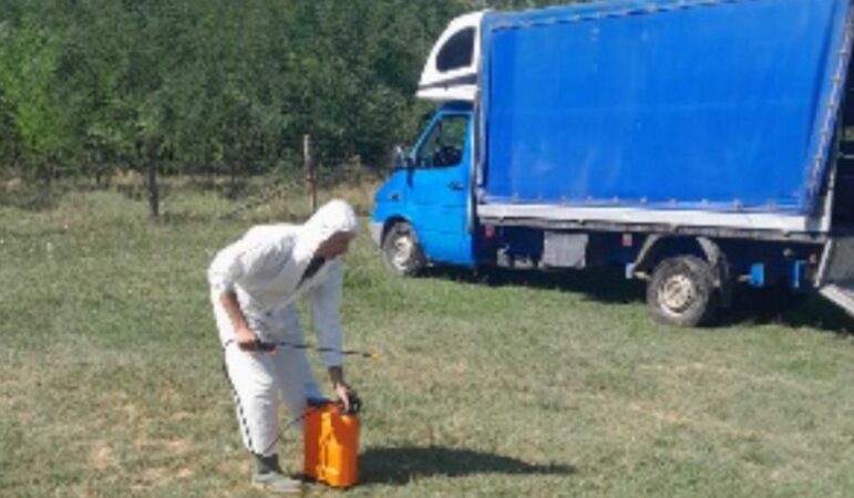 DSVSA Dâmbovița desfășoară ample controale în trafic, în contextul confirmării Pestei Micilor Rumegătoare