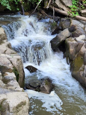 Imaginile zilei sunt cu  Cascade de pe pârâul Bărzăuța și păduri administrate de Ocolul Silvic Dărmănești din cadrul Direcției Silvice Bacău, în U.P. III Bărzăuța.